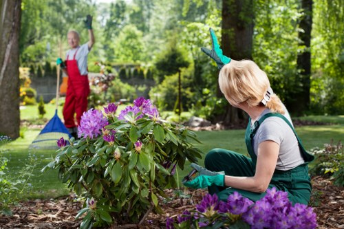 Gardener assessing an accessible community garden in Woolwich