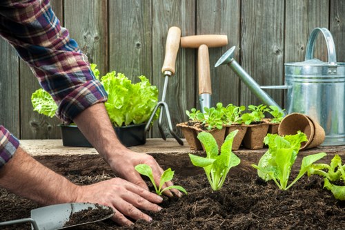 Eco-friendly composting setup in a Woolwich garden