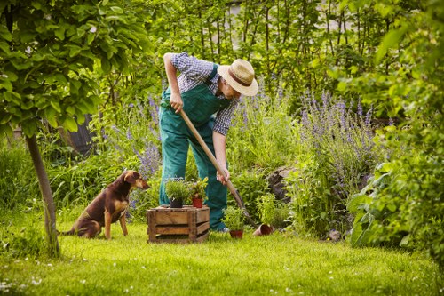 Lush green lawn maintained by landscapers