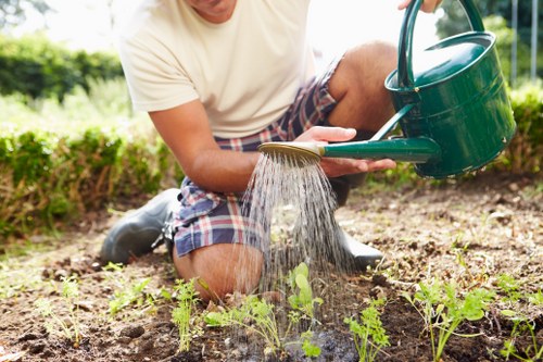 Garden maintenance tools and greenery representing Woolwich lawn care