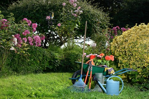 Gardening crew assessing a large overgrown rear garden