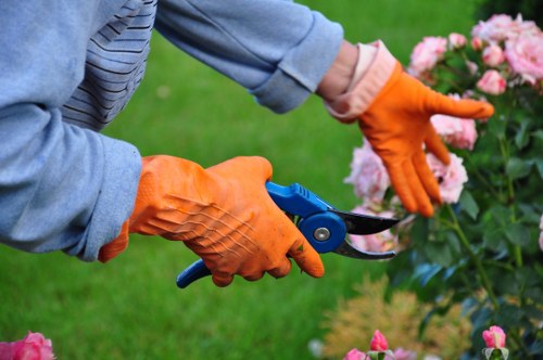 Sustainable gardening practices in a Woolwich backyard