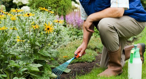 Professional gardener maintaining a sustainable garden in Woolwich