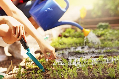 Lush garden in Woolwich maintained by professionals